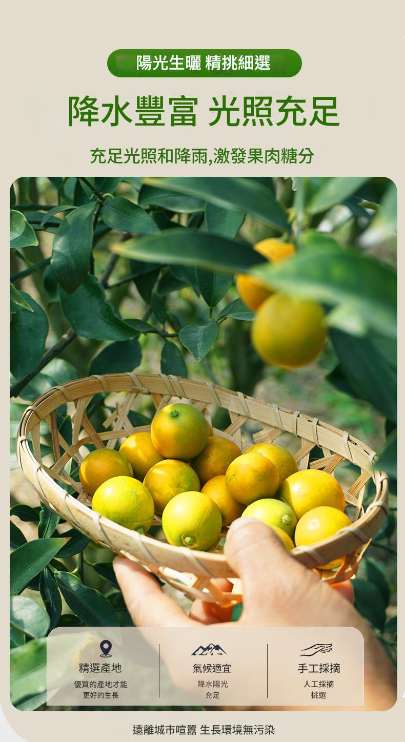 古法慢烘秘製陳皮檸檬
