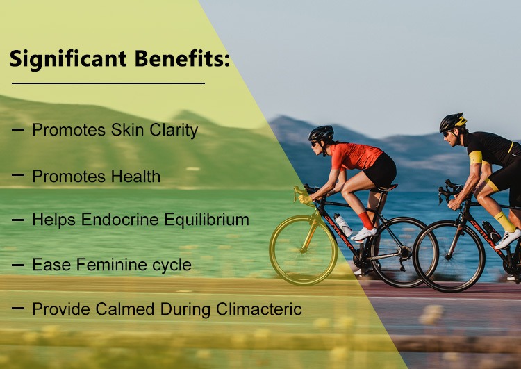 高濃度gla配方月見草油軟膠囊