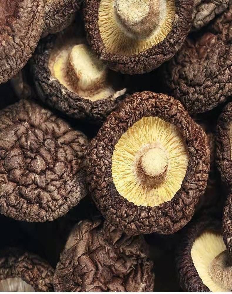 【新貨】古田肉厚無根香菇乾貨 煲湯虫草專用