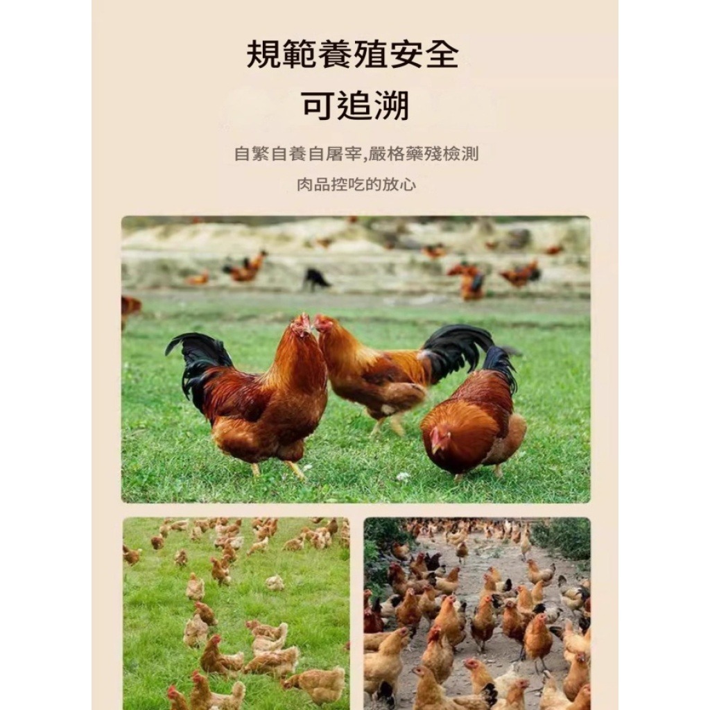 梅州客家鹽焗鳳爪