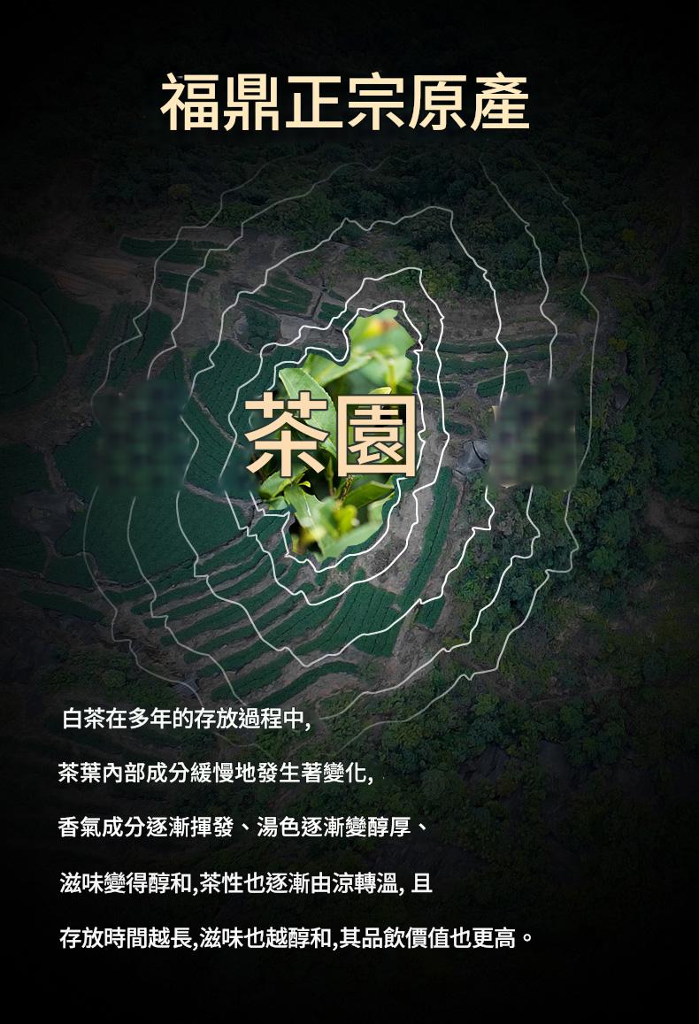 典藏珍品福鼎陳年老白茶餅禮盒 350克