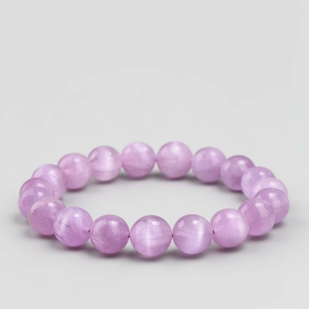 cun00252 banner2 cun00252 banner2