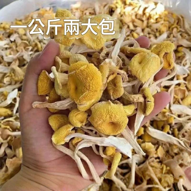 雲南野生極品雞油菌乾 500g/袋x2 雲南野生極品雞油菌乾 500g/袋x2