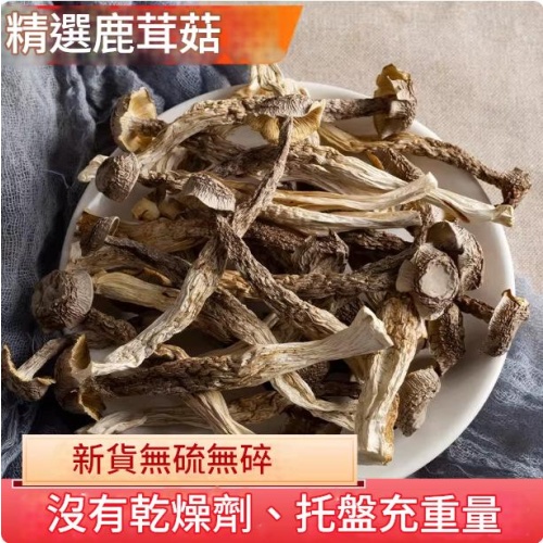 精選鹿茸菇乾貨 500g/袋