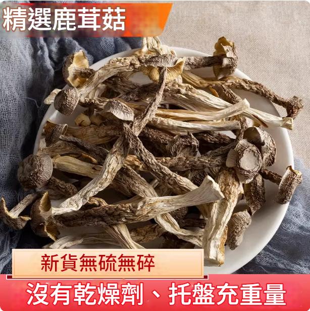 精選鹿茸菇乾貨 500g/袋 精選鹿茸菇乾貨 500g/袋