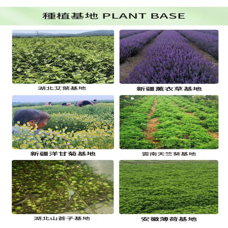 高濃度檀香單方精油 乾肌抗老護膚首選