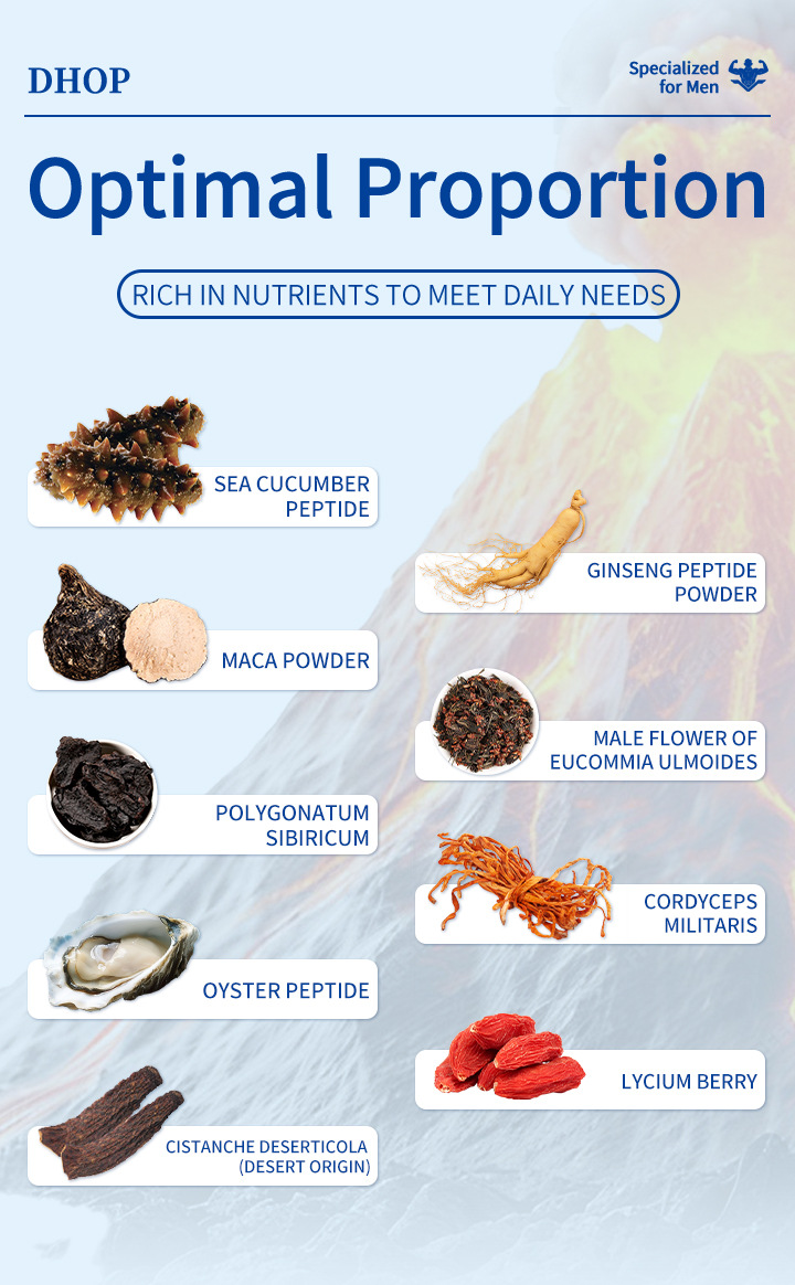 dhop男性海參肽人參肽瑪卡配方活力片0.5g x 10粒/盒x2盒