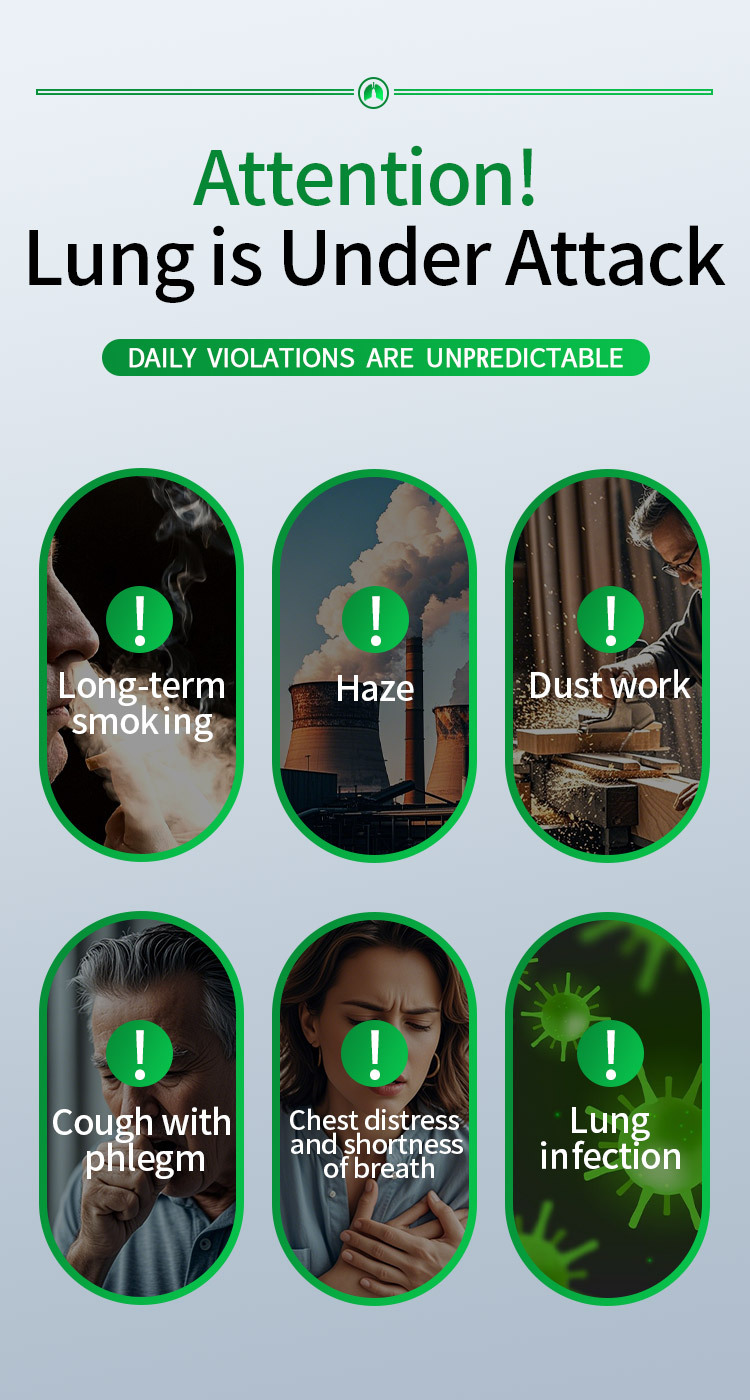 dhop肺部滋養毛蕊花葉萃取滴劑60ml/瓶x2瓶