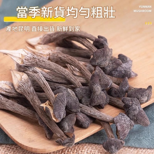 雲南當季新貨黑皮雞腿菌
