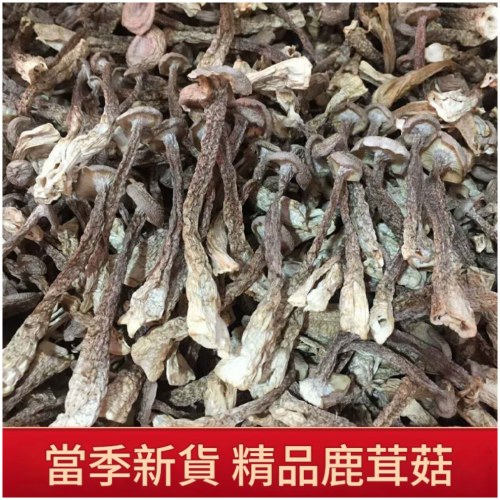 特選鹿茸菇乾貨古田特產 250g,500g可選
