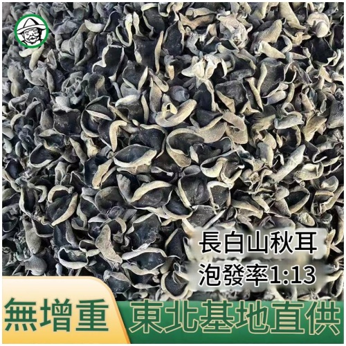 東北長白山秋木耳 500g 肉厚無根爽脆黑木耳