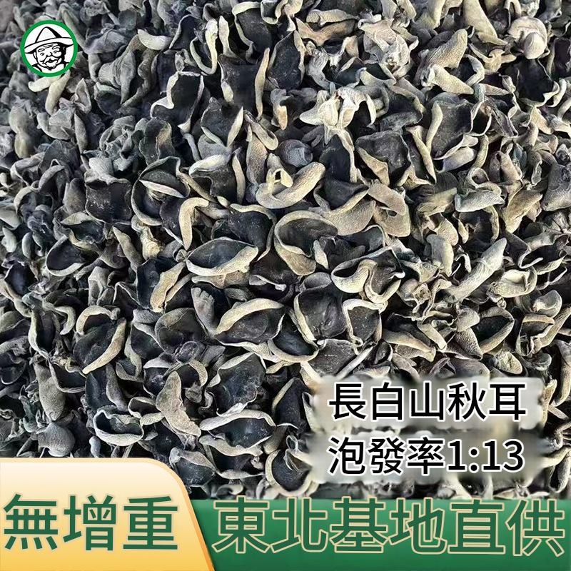 東北長白山秋木耳 500g 肉厚無根爽脆黑木耳