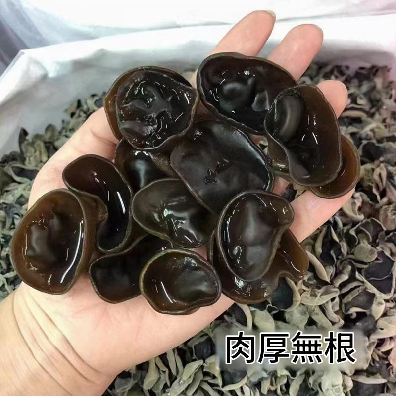 東北長白山秋木耳 500g 肉厚無根爽脆黑木耳 - Image 3