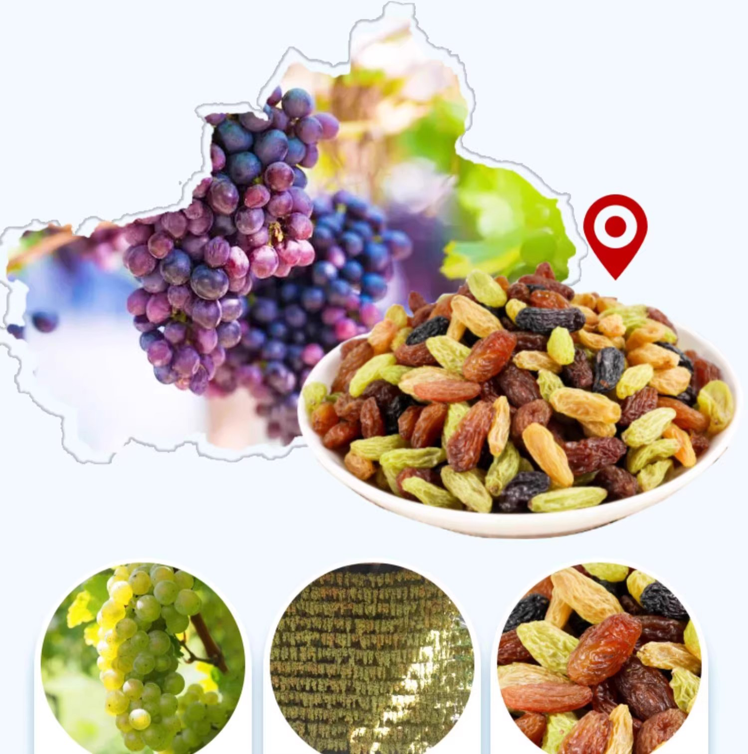 新疆吐魯番四色葡萄乾 500克/1000克 - Image 4
