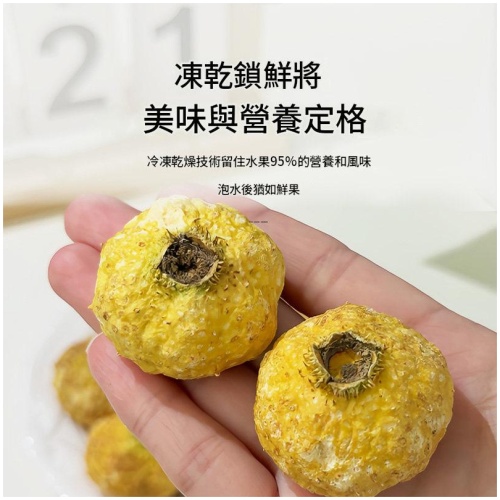 凍乾刺梨 100g/250g袋裝 貴州特產維C果乾