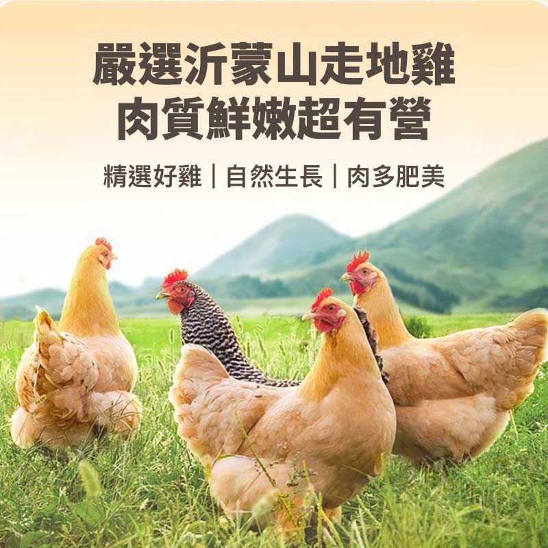 雞肉粒/雞胸條凍乾 2.5kg|純肉0添加 寵物零食大桶裝 - Image 5